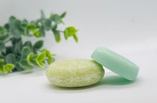 Load image into Gallery viewer, Coconut Lime Shampoo + Conditioner Bar Set