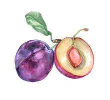 Load image into Gallery viewer, Orchard Buds Jar