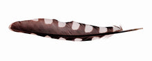 Load image into Gallery viewer, Feather Print - Multiple Styles