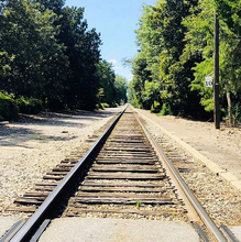 Load image into Gallery viewer, Southern Pines Train Tracks Print