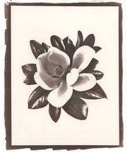 Load image into Gallery viewer, T. Christensen Nature Series - 8" x 10"