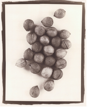 Load image into Gallery viewer, T. Christensen Nature Series - 8" x 10"