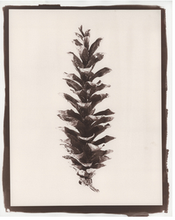 Load image into Gallery viewer, T. Christensen Nature Series - 8" x 10"