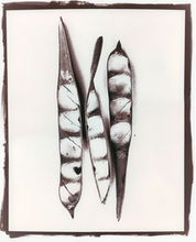 Load image into Gallery viewer, T. Christensen Nature Series - 8" x 10"