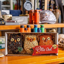 Load image into Gallery viewer, Birdseed Owl Set - Pack of 3
