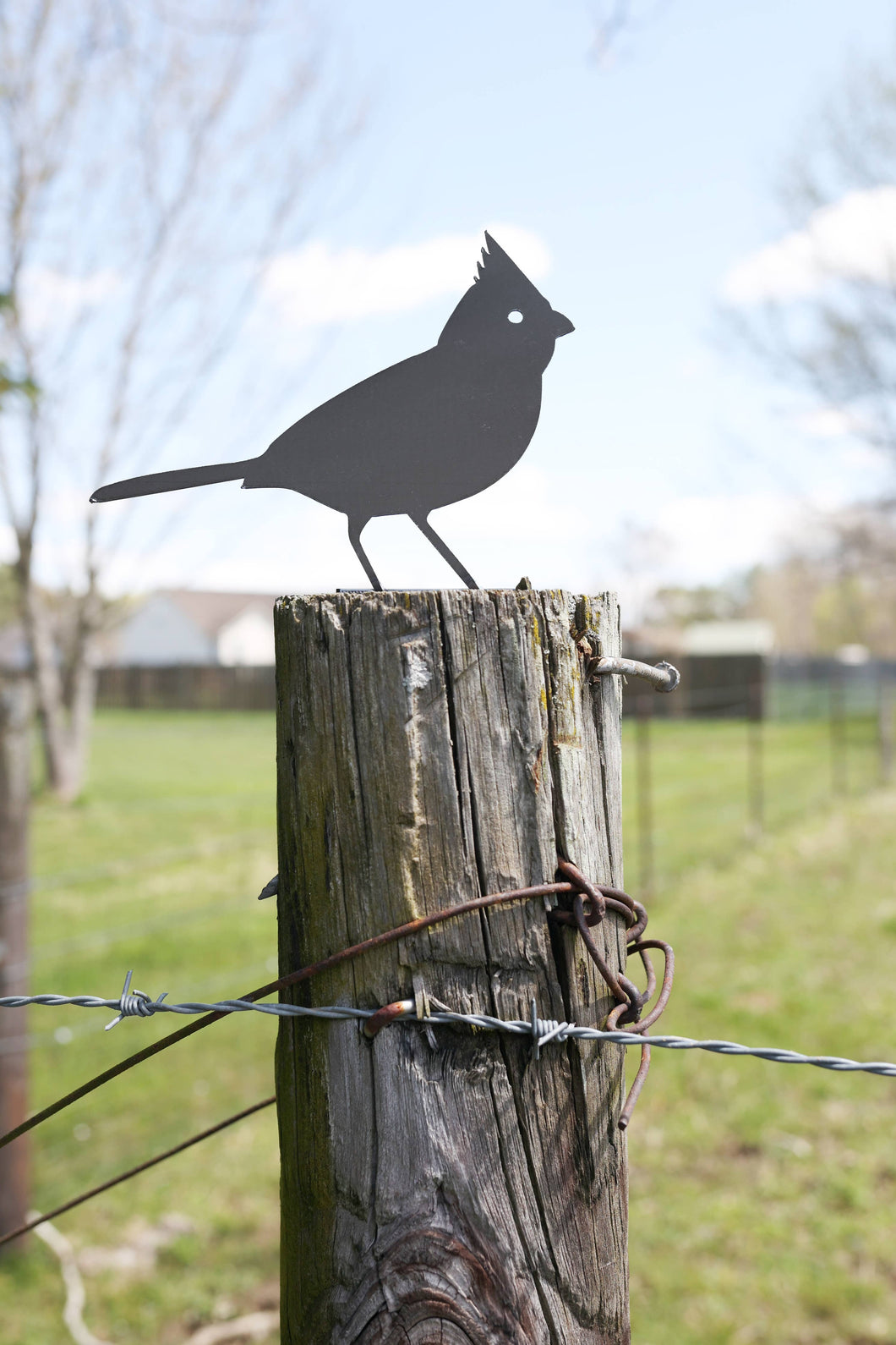 Cardinal Metal Bird Statue