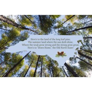 Long Leaf Pine Postcard
