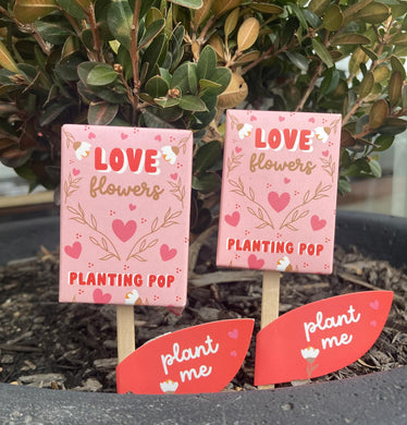 Love Flowers Garden + Gift Seed Planting Pop