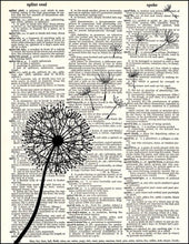 Load image into Gallery viewer, Dandelion Dictionary Print