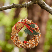 Load image into Gallery viewer, Holiday Birdseed Wreath
