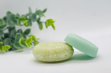 Coconut Lime Shampoo + Conditioner Bar Set