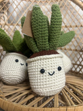 Load image into Gallery viewer, Crocheted Succulent