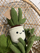 Load image into Gallery viewer, Crocheted Succulent