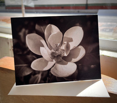 Magnolia Greeting Card