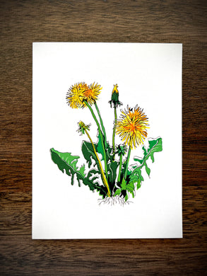 Dandelion Card