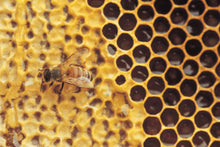 Load image into Gallery viewer, Honey Comb Ornament