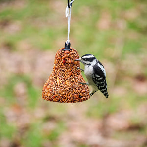 Christmas Birdseed Bell