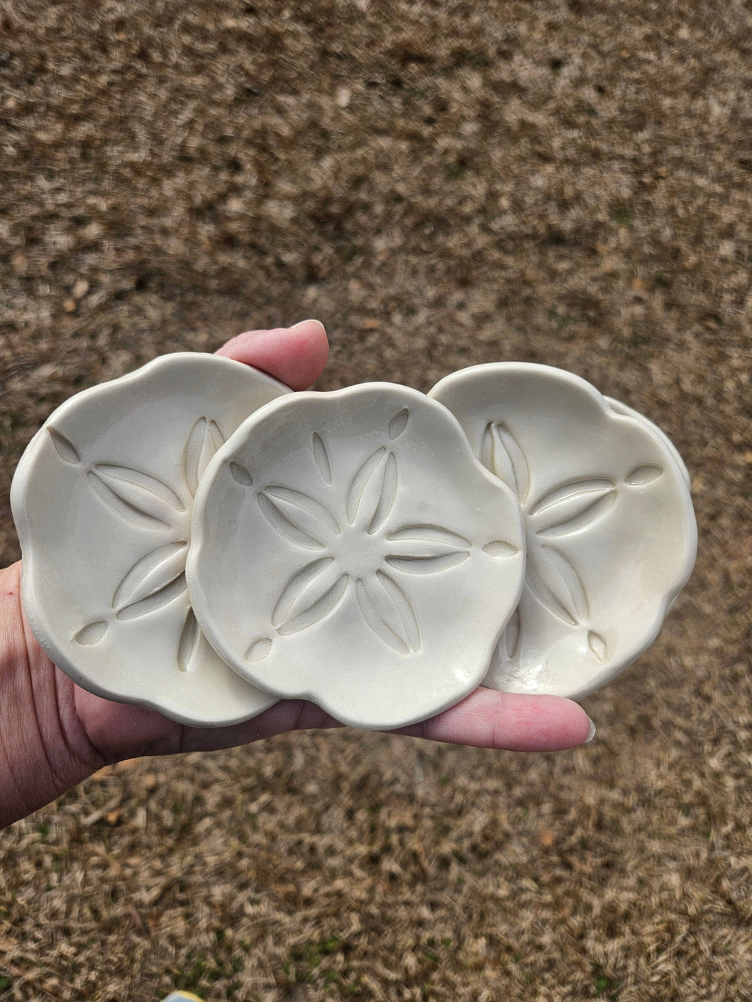 Ceramic Sand Dollar Trinket Dish