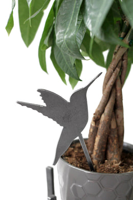 Hummingbird Plant Stake