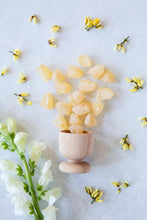 Load image into Gallery viewer, Ginger Buds Candy