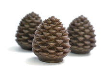 Load image into Gallery viewer, Pinecone Soap