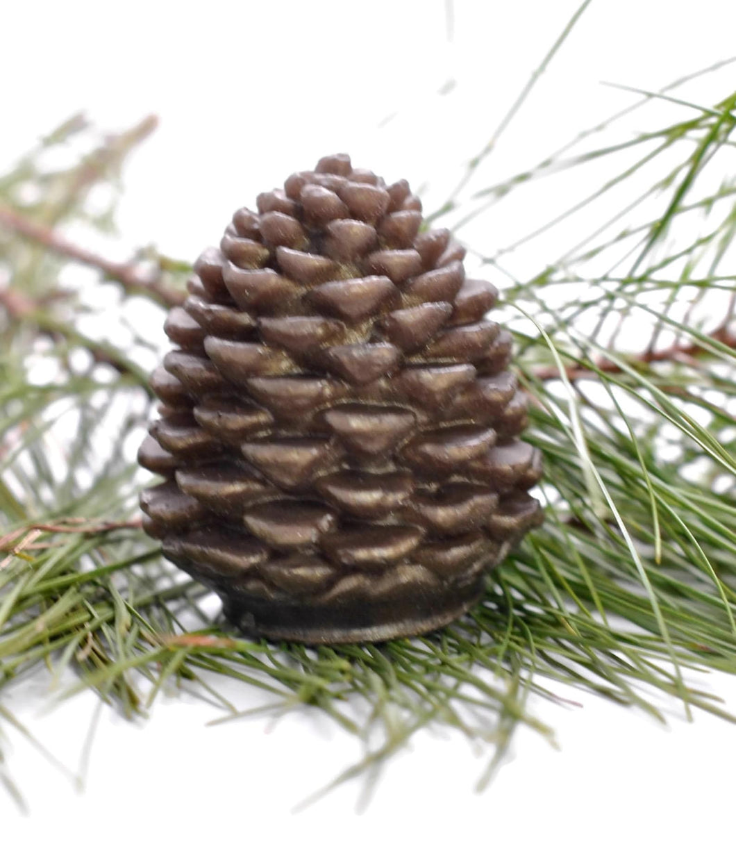 Pinecone Soap