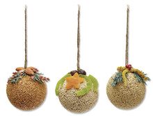 Load image into Gallery viewer, Fruit Birdseed Ornament Trio