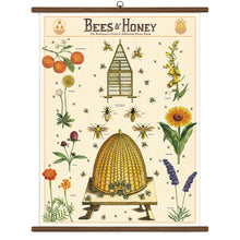 Load image into Gallery viewer, Bees + Honey School Chart