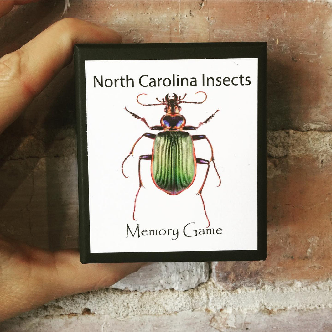 NC Insects Memory Game