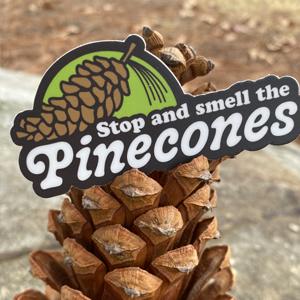Stop and Smell the Pinecones Sticker