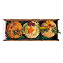 Load image into Gallery viewer, Fruit Birdseed Ornament Trio