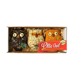 Birdseed Owl Set - Pack of 3