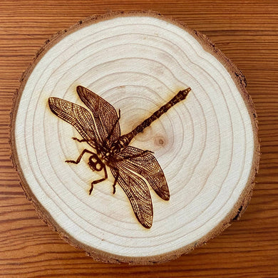 Engraved Dragonfly Coasters