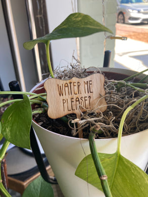 Water Me Please? - Plant Marker