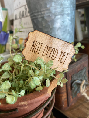 Not Dead Yet - Plant Marker