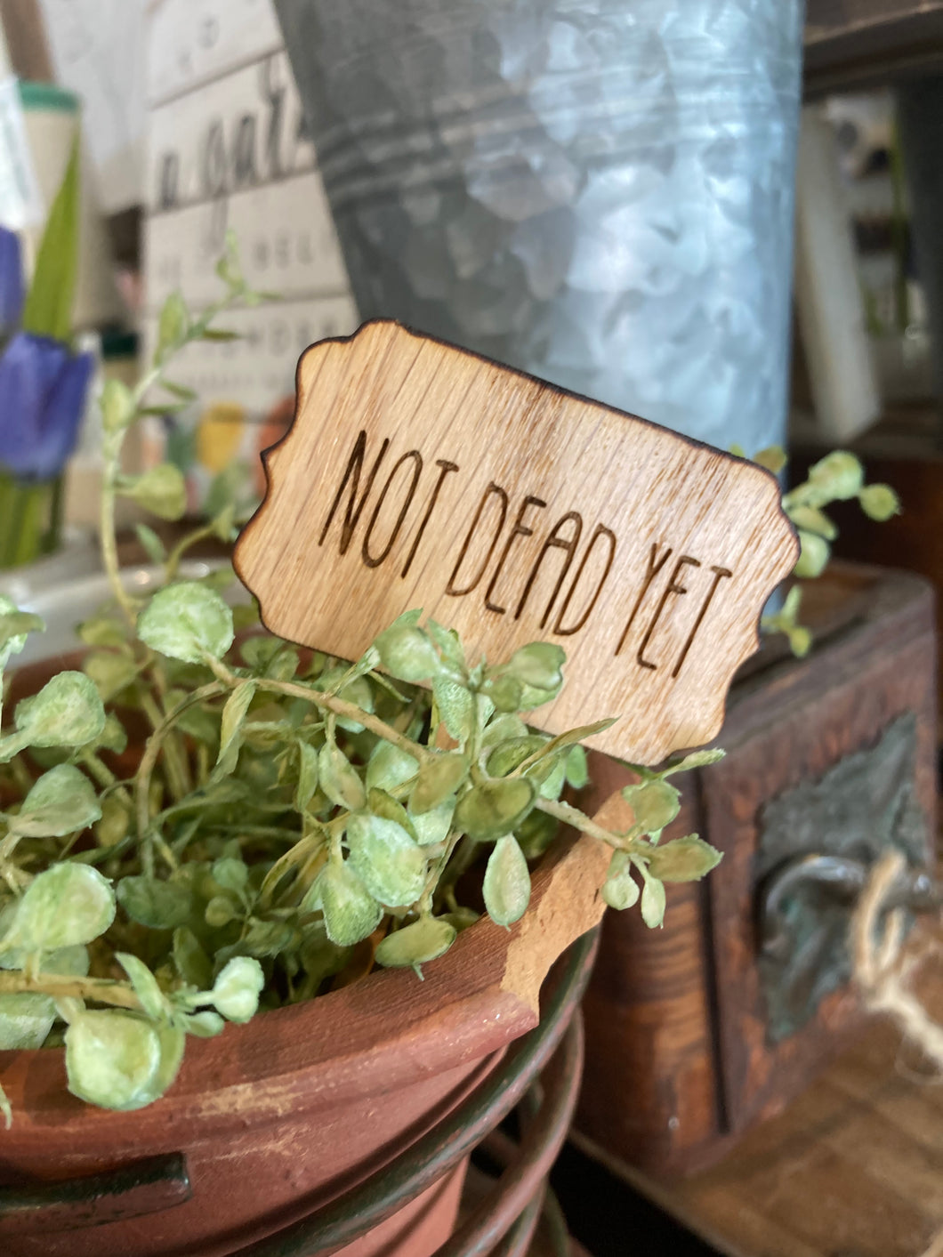 Not Dead Yet - Plant Marker