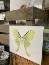 Load image into Gallery viewer, Luna Moth Print